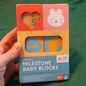 Baby milestone blocks